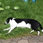 Affittacamere Haus Hoell Herta Hallstatt