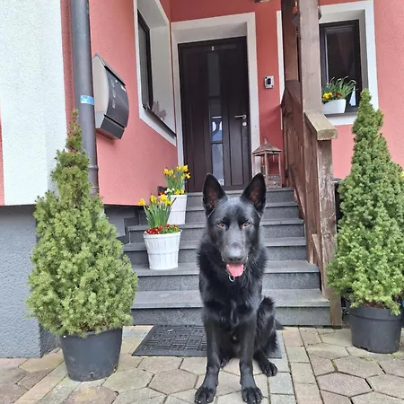 Gasthuis Haus Hoell Herta Hallstatt