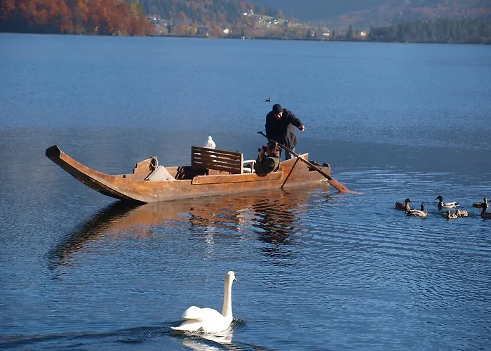 Haus Hoell Herta 3* Χάλστατ