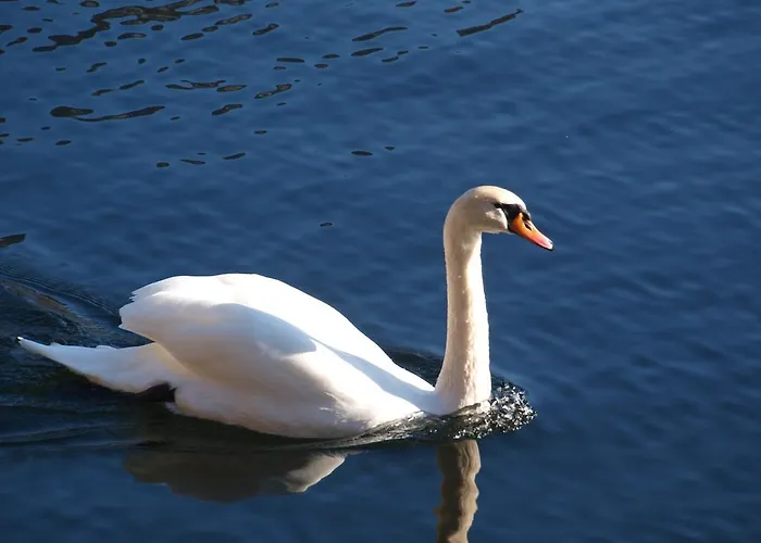 Haus Hoell Herta Χάλστατ