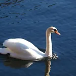 Haus Hoell Herta Hallstatt
