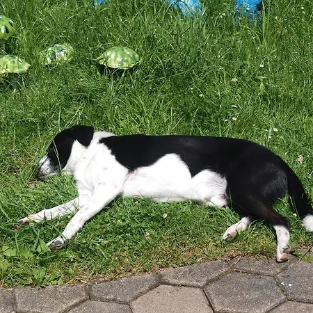 Konukevi Haus Hoell Herta Hallstatt