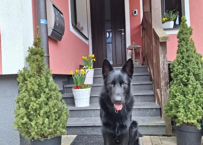 Гостевой дом Haus Holl Herta Гальштат